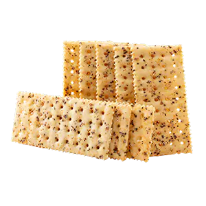 Fermentum Biscuits